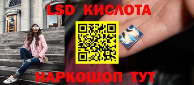 стаф Тара